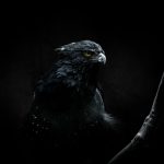 renato hPzKC CgOA8 unsplash 1 150x150