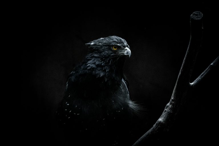 renato hPzKC CgOA8 unsplash 1 768x512